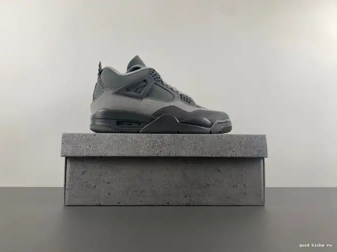 Air Paris SE Olympics 4 Jordan FQ7928-001 0525